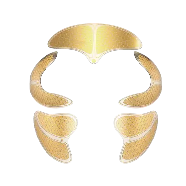 Электроды для прибора Yamaguchi FACE Lifting MIO Pads